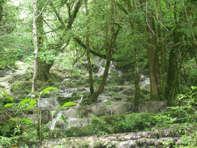 Senderismo interpretativo